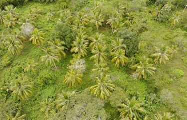 Land for sale 5 Acres Mawella, Tangalle